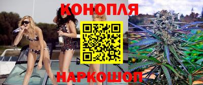 стафф Братск
