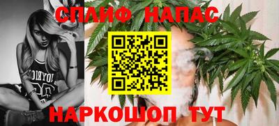 стафф Братск