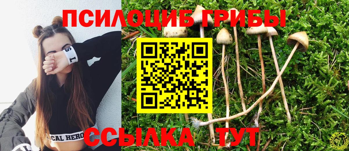 Кемерово  Галлюциногенные грибы Psilocybe  Вход с VPN 